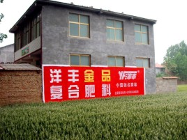 永春如何让墙体广告展现最大化效果