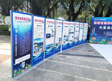 永春KT板的种类和知识。